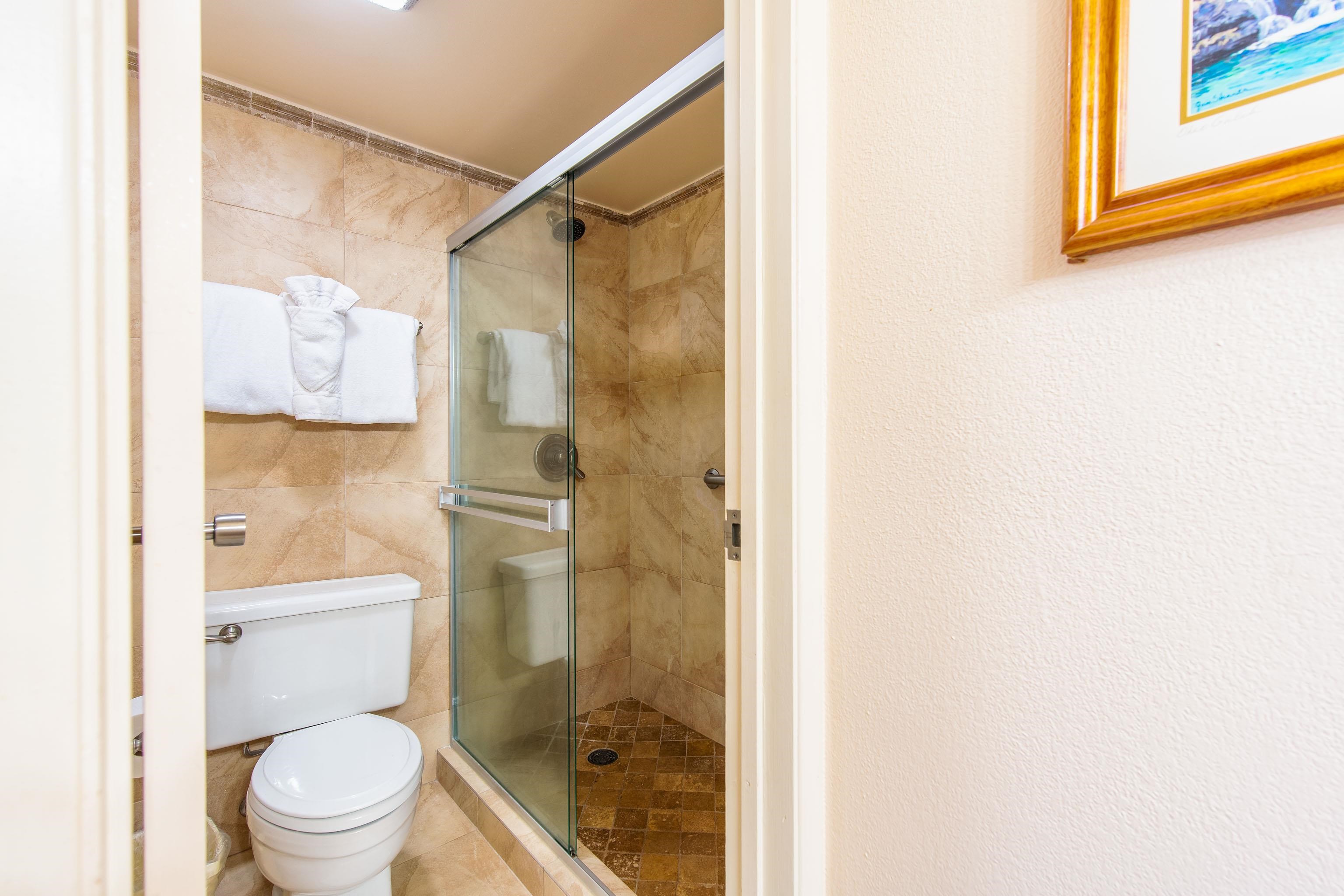 4365 Lower Honoapiilani Road, Unit 1010 Lahaina, HI 96761 - Photo 23 of 30 Gallery Image 23
