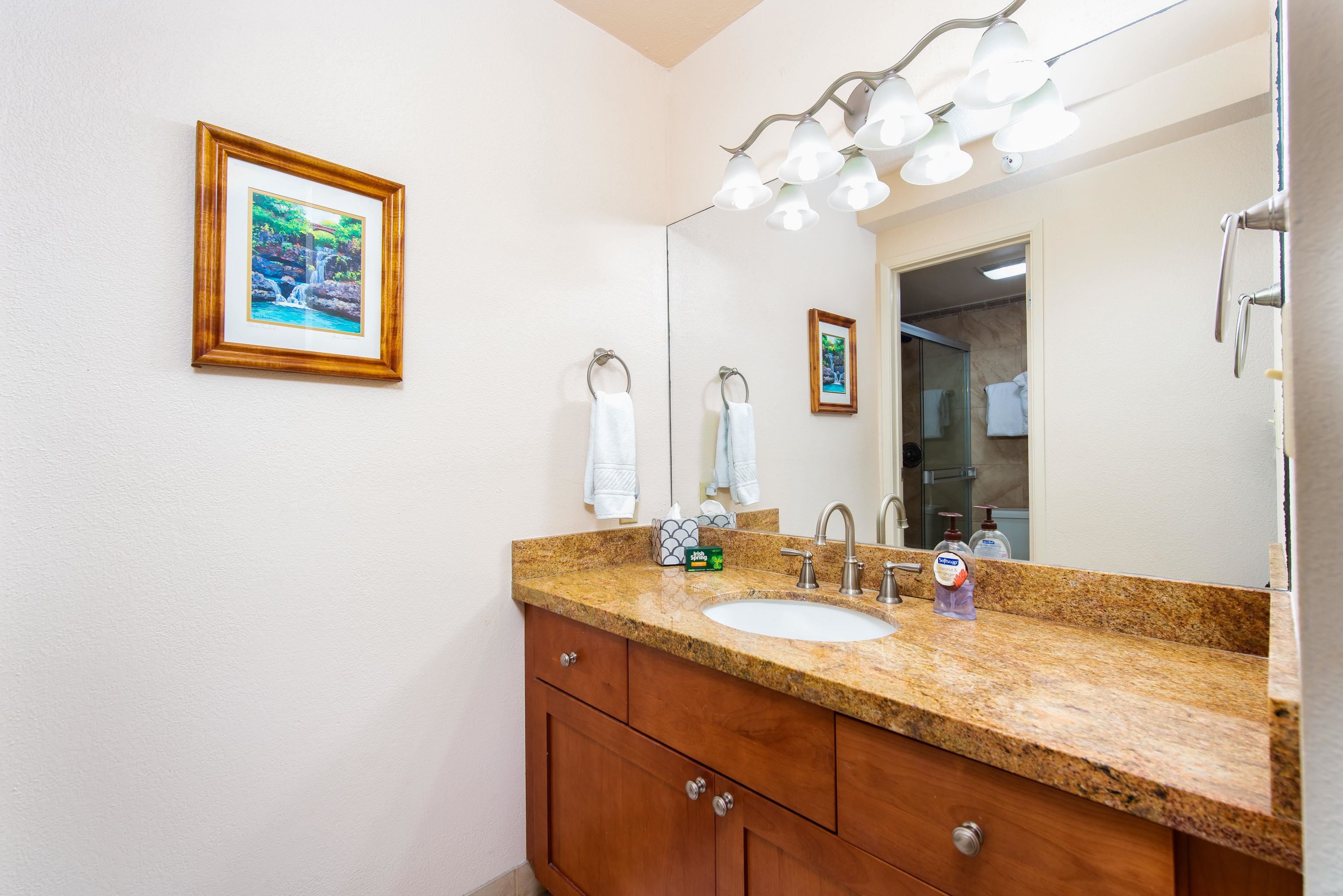 4365 Lower Honoapiilani Road, Unit 1010 Lahaina, HI 96761 - Photo 24 of 30 Gallery Image 24