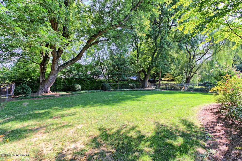 7208 Woolrich Road Louisville, KY 40222 - Photo 39 of 42 Another view of beautiful rear yard
