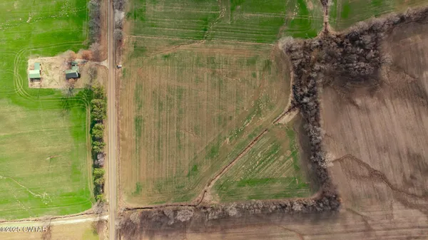 a close up of a shower curtain
