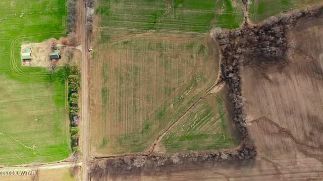 a close up of a shower curtain