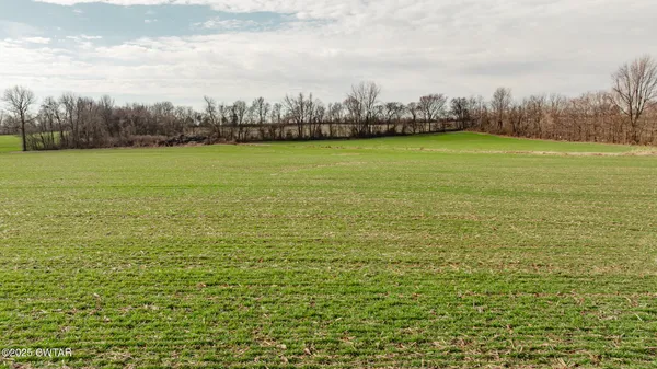 a view of a big yard with plants and large trees