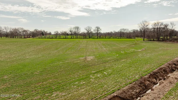 a view of an ocean from a yard