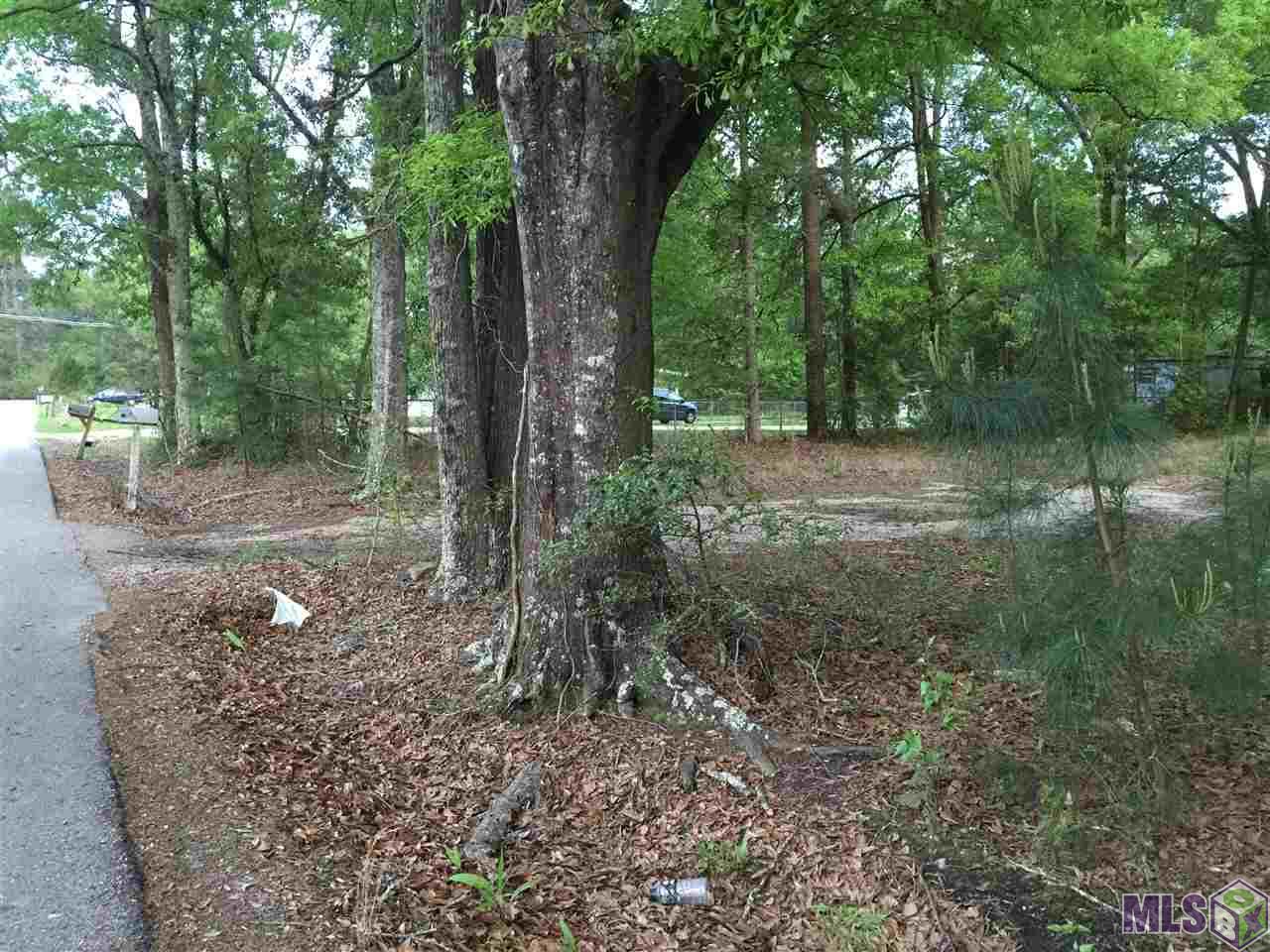 0 Saint Road Hammond, LA 70403 - Photo 2 of 3 Gallery Image 2