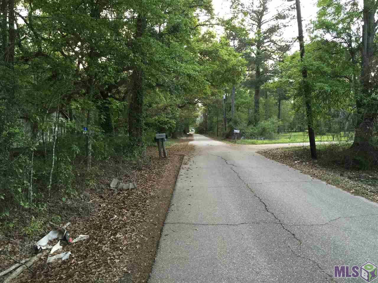 0 Saint Road Hammond, LA 70403 - Photo 3 of 3 Gallery Image 3