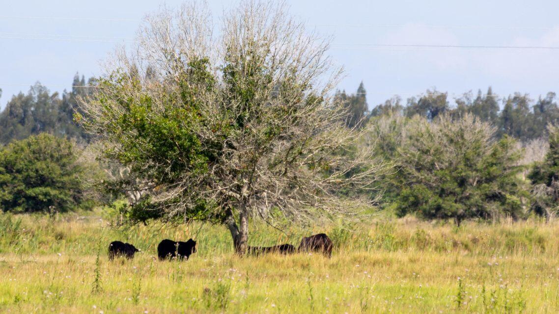Xxx Schuman Road Fort Pierce, FL 34945 - Photo 13 of 34 17