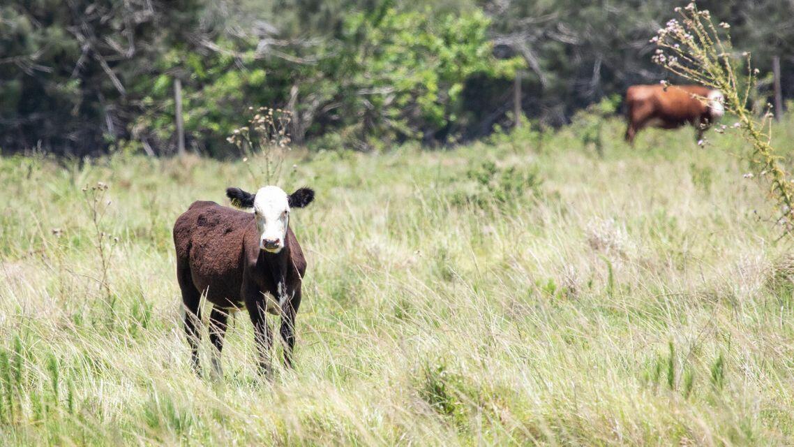 Xxx Schuman Road Fort Pierce, FL 34945 - Photo 14 of 34 13