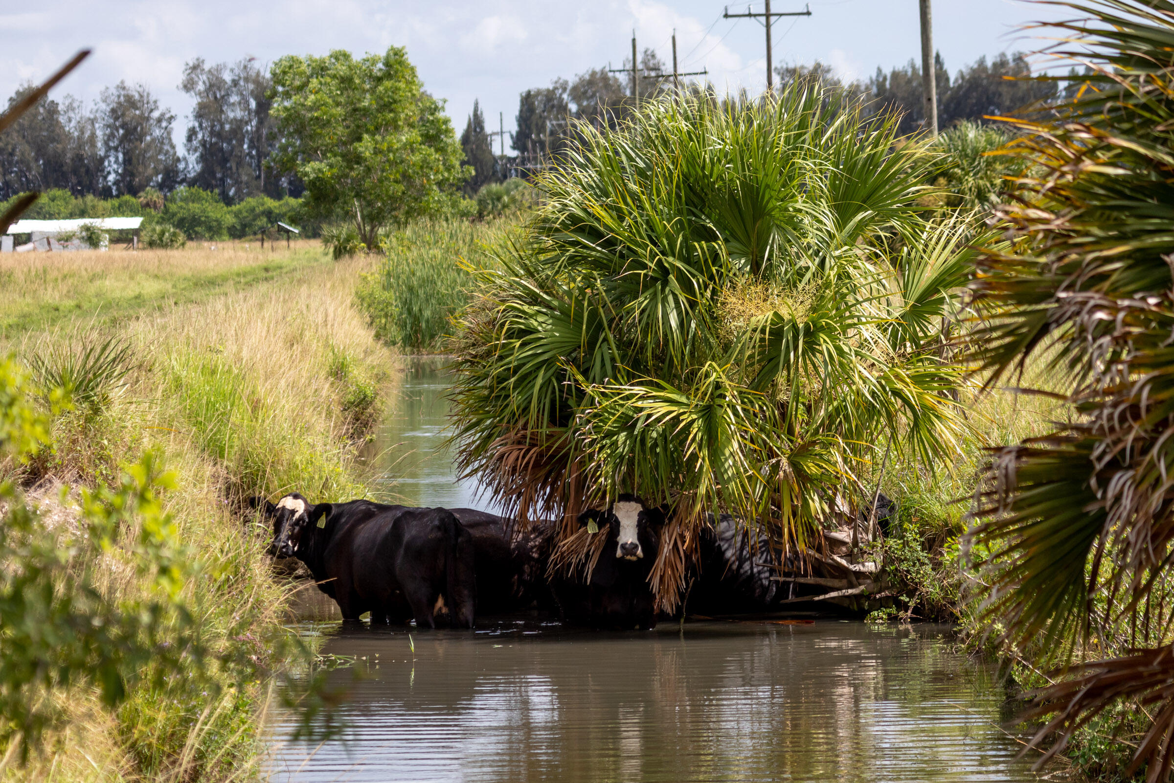Xxx Schuman Road Fort Pierce, FL 34945 - Photo 27 of 34 sc13
