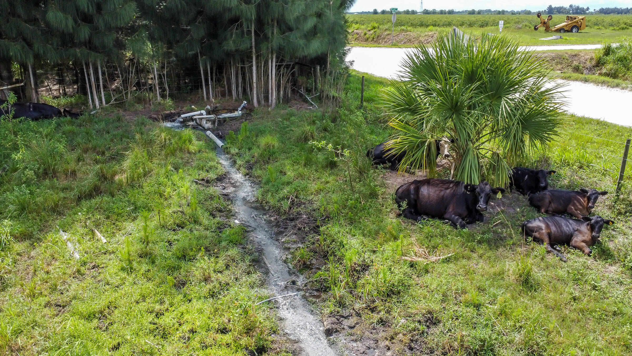 Xxx Schuman Road Fort Pierce, FL 34945 - Photo 28 of 34 sc17