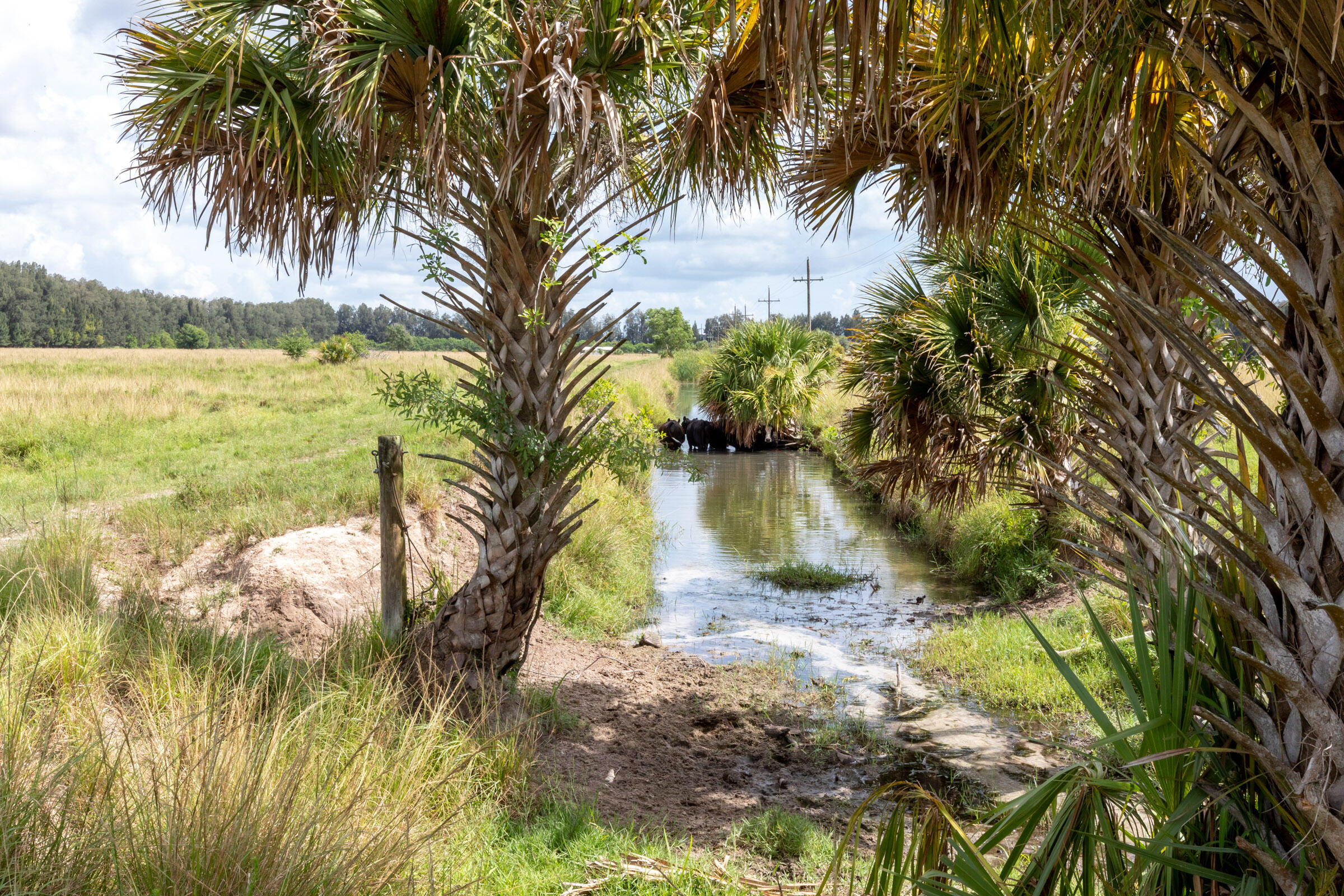 Xxx Schuman Road Fort Pierce, FL 34945 - Photo 30 of 34 sc19
