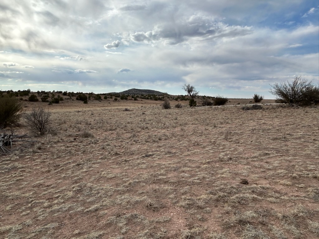 301-34-020 North James Sheriff Road Seligman, AZ 86337 - Photo 25 of 32