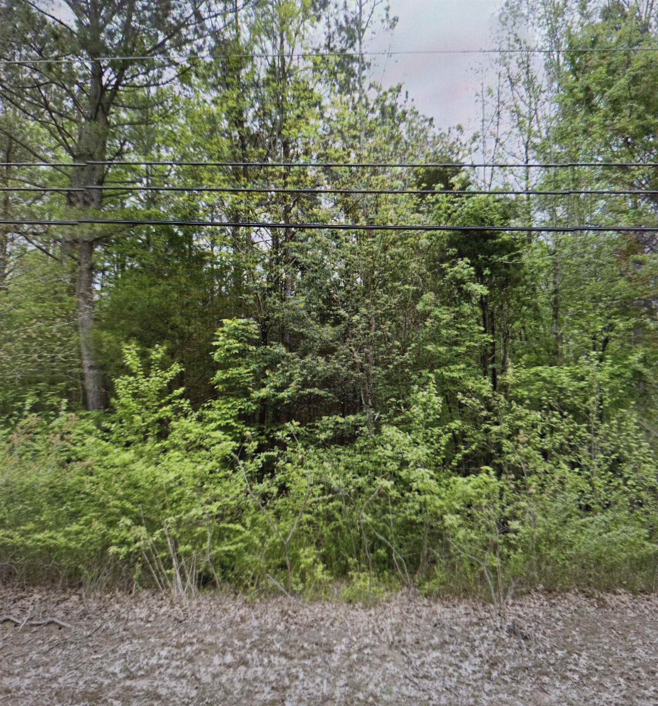 4124 Westbrook Road Bartlett, TN 38135 - Photo 3 of 6 a view of a garden