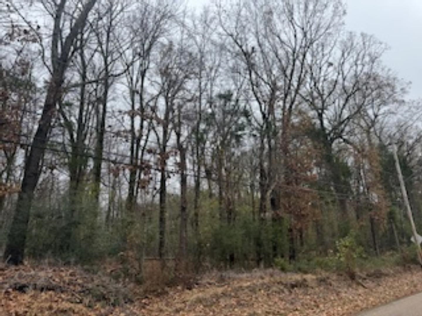 4124 Westbrook Road Bartlett, TN 38135 - Photo 5 of 6 a view of forest