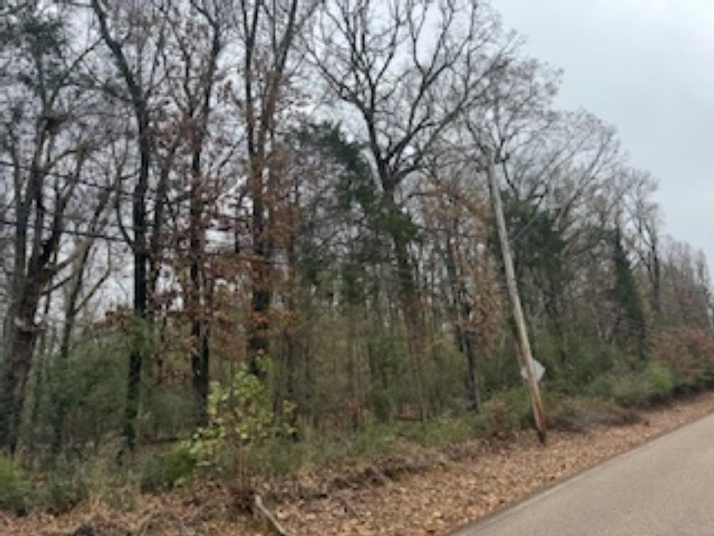 4124 Westbrook Road Bartlett, TN 38135 - Photo 6 of 6 a view of a forest with trees in the background