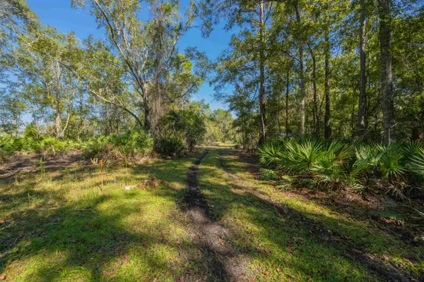 a view of yard with trees
