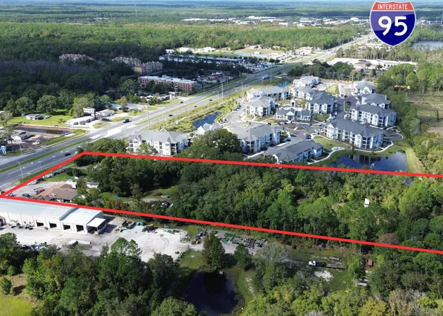 a view of a bunch of flowers