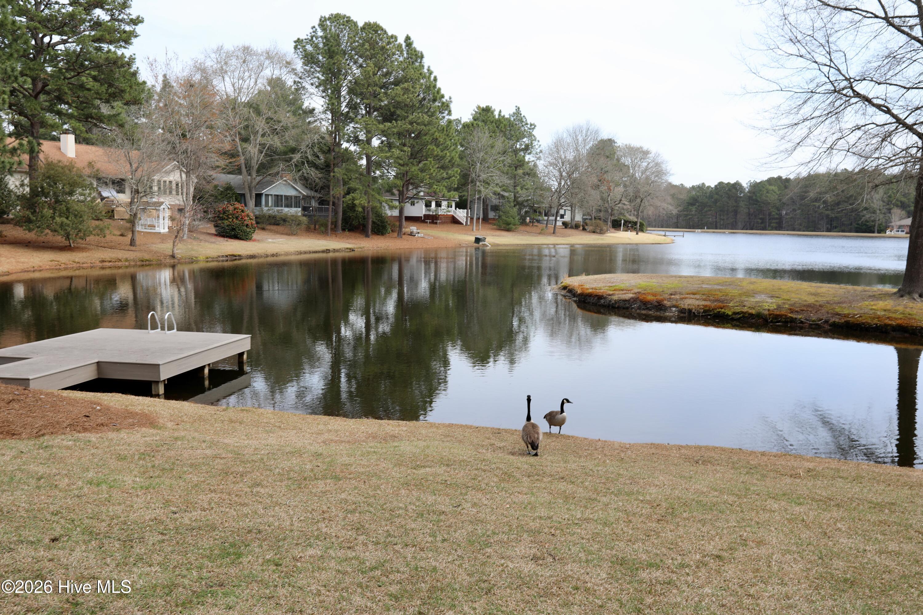 116 Shagbark Road West End, NC 27376 - Photo 18 of 89 Ramapo Lake