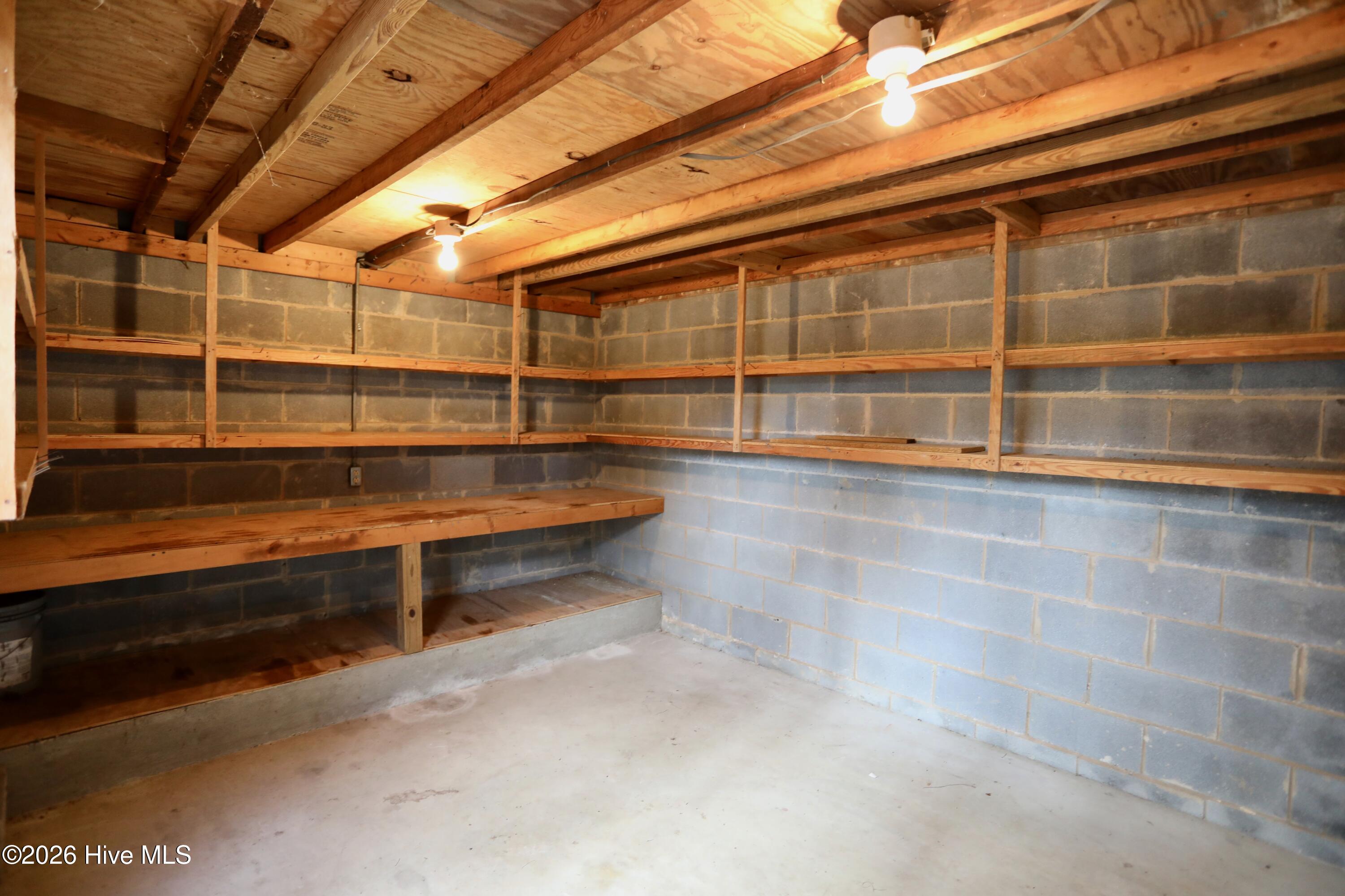 116 Shagbark Road West End, NC 27376 - Photo 58 of 79 Workshop Space Under Carolina Rm