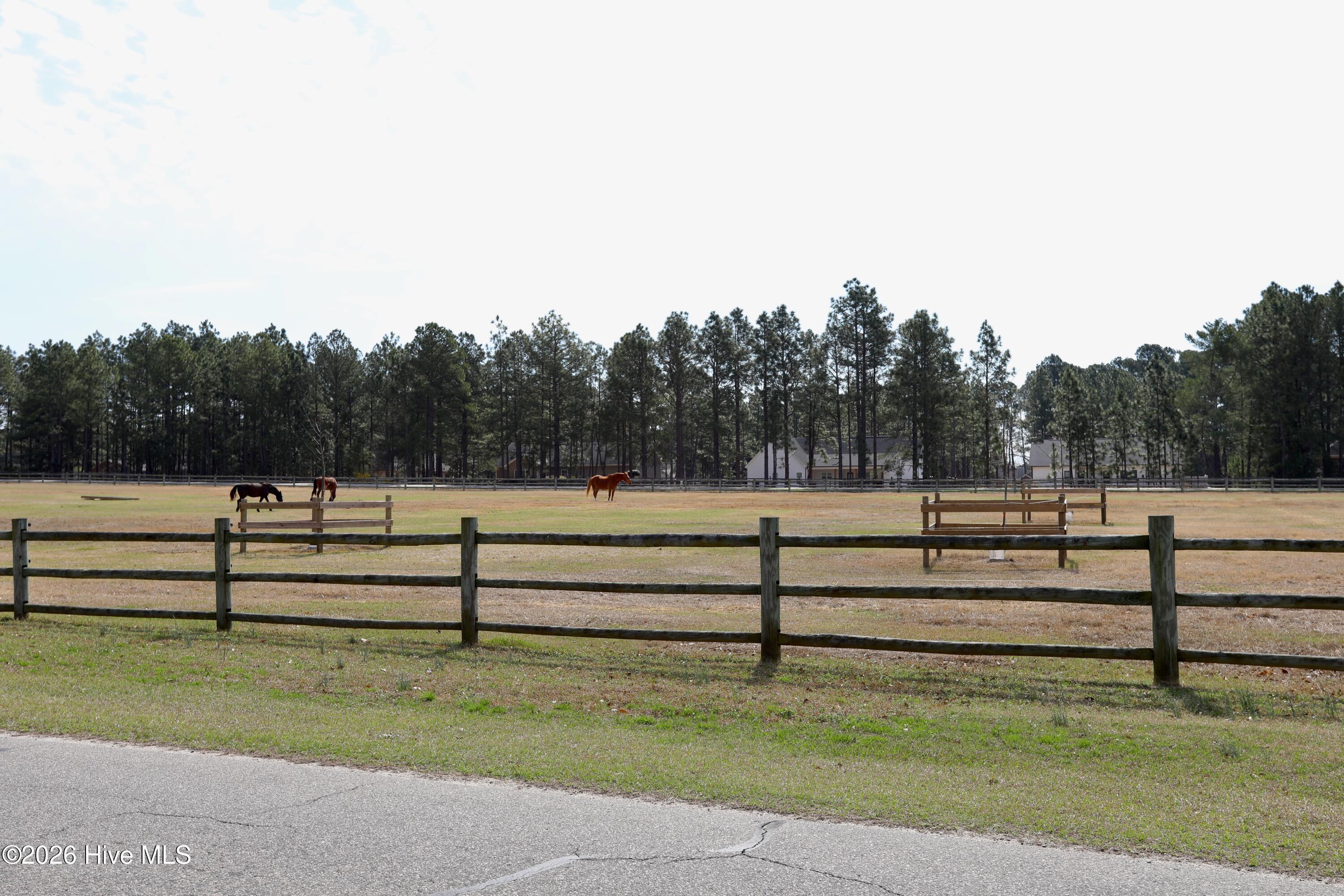 116 Shagbark Road West End, NC 27376 - Photo 62 of 79 Equestrian Facility Pasture
