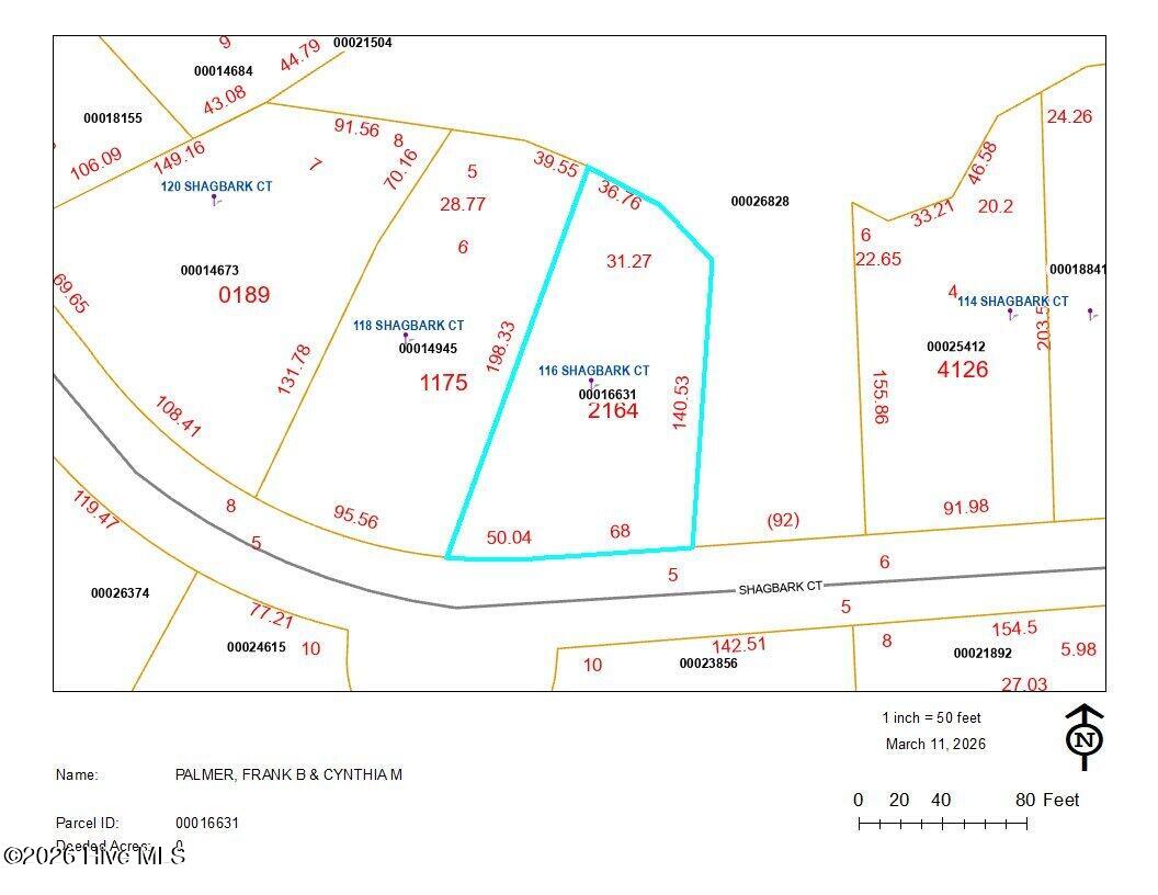 116 Shagbark Road West End, NC 27376 - Photo 64 of 79 116 Shagbark Ct. GIS Map