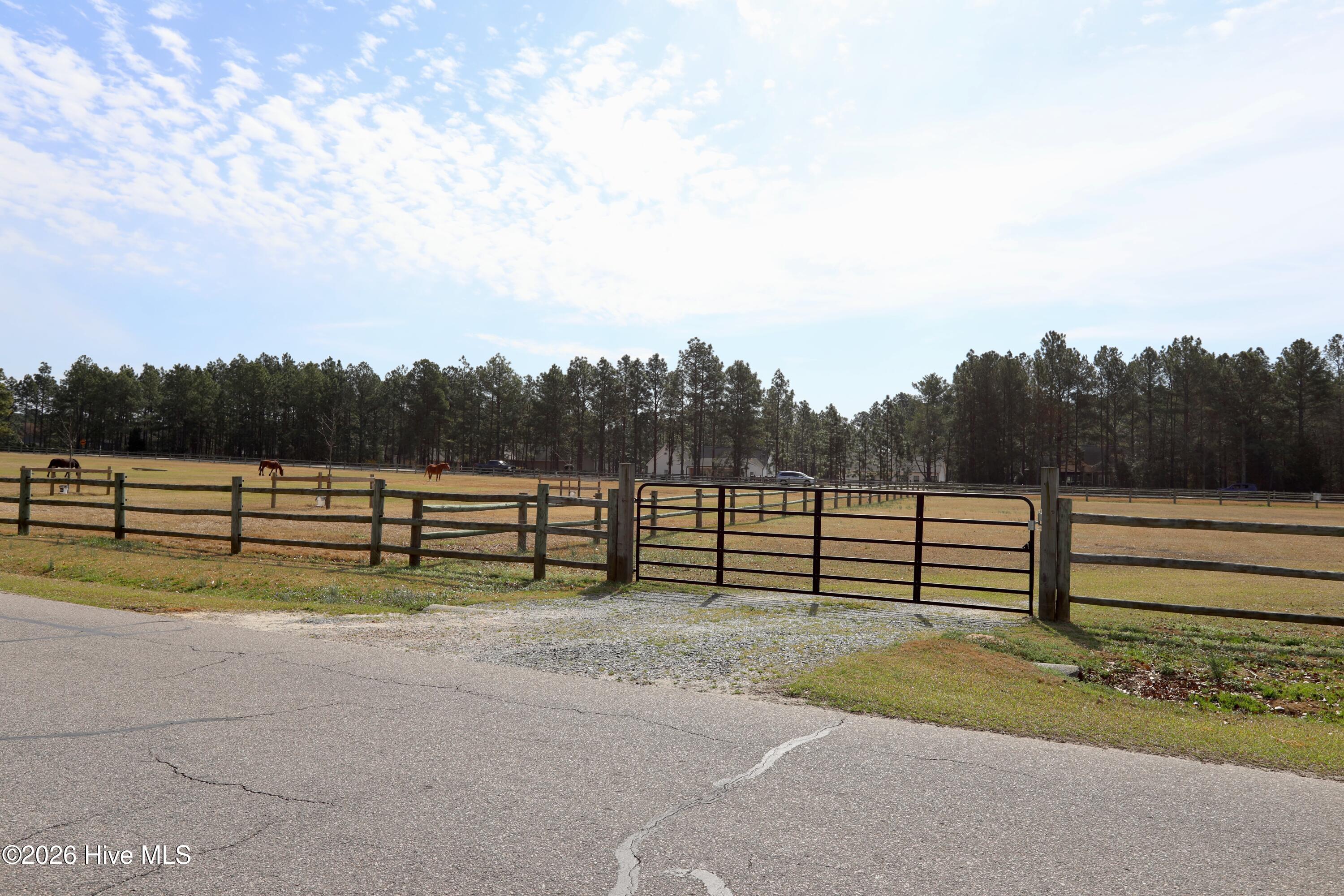 116 Shagbark Road West End, NC 27376 - Photo 66 of 89 Equestrian Facility Pasture