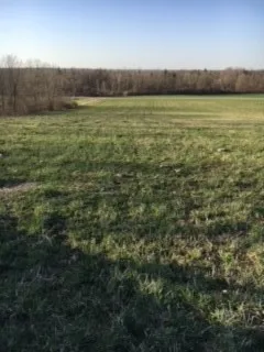 $49,900 | 6798 Swamp Road, Byron, NY 14422