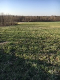 6798 Swamp Road Byron, NY 14422 - Photo 2 of 5