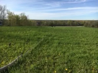 $49,900 | 6798 Swamp Road, Byron, NY 14422