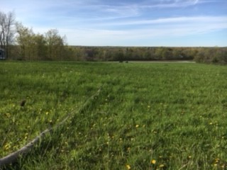 6798 Swamp Road Byron, NY 14422 - Photo 3 of 5