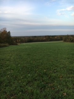 6798 Swamp Road Byron, NY 14422 - Photo 4 of 5