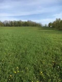 $45,000 | 6798 Swamp Road, Byron, NY 14422