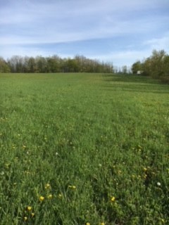 6798 Swamp Road Byron, NY 14422 - Photo 5 of 5