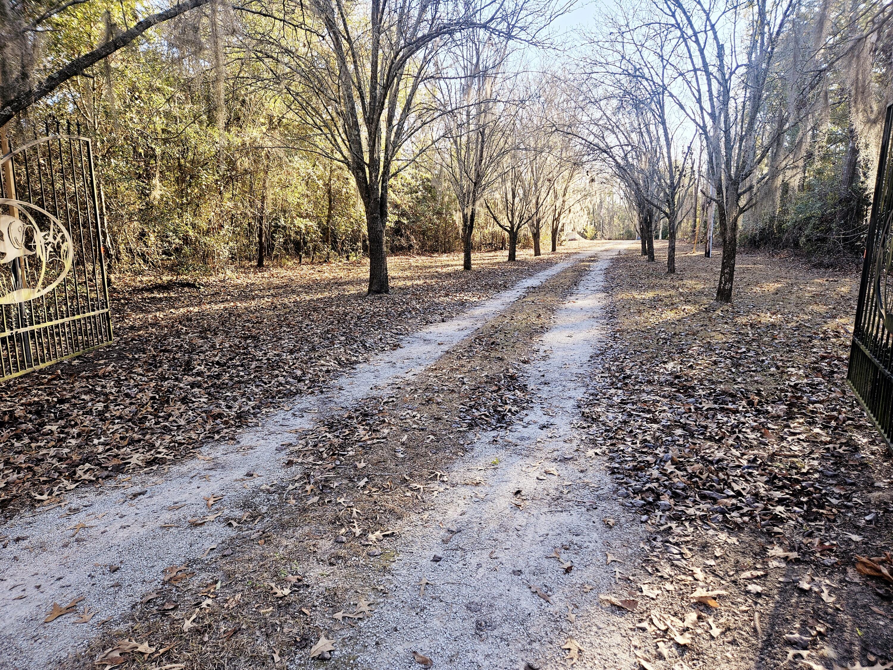 167 Satawen Road Eutawville, SC 29048 - Photo 42 of 45 20250109_152243
