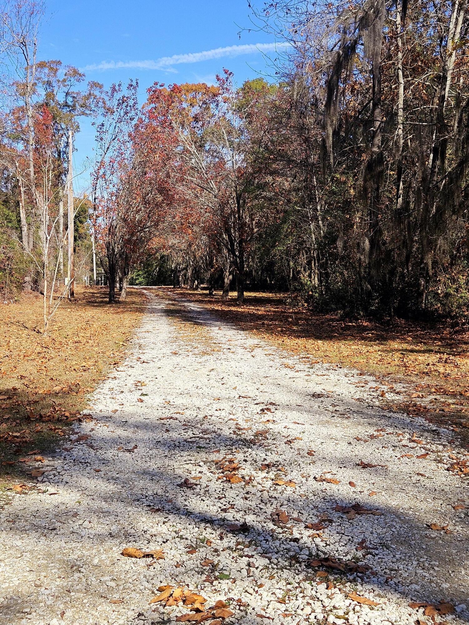 167 Satawen Road Eutawville, SC 29048 - Photo 44 of 45 20241213_123337