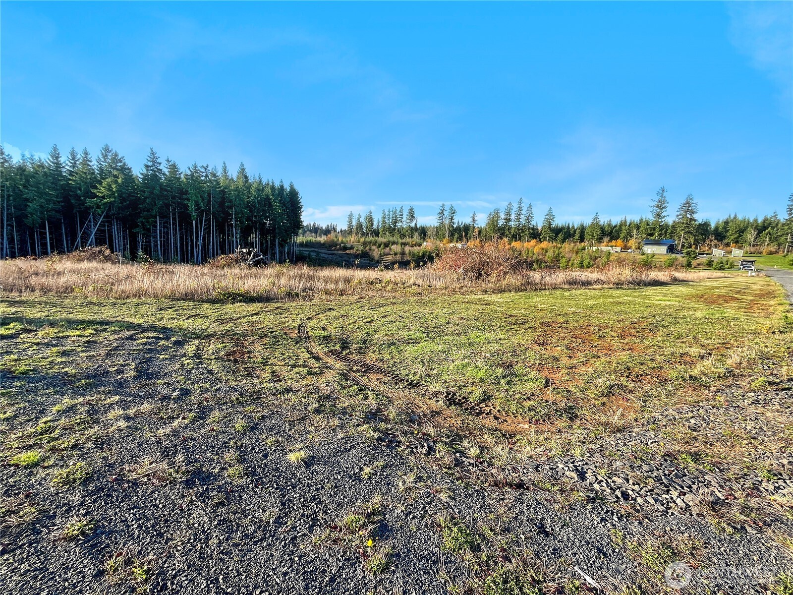 145 Remington Lane Chehalis, WA 98532 - Photo 7 of 8 a view of a field with an trees