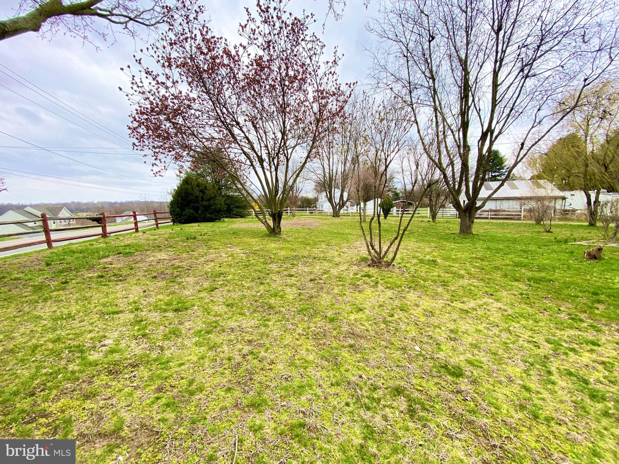 623 Rowland Road Conowingo, MD 21918 - Photo 9 of 31 Front yard