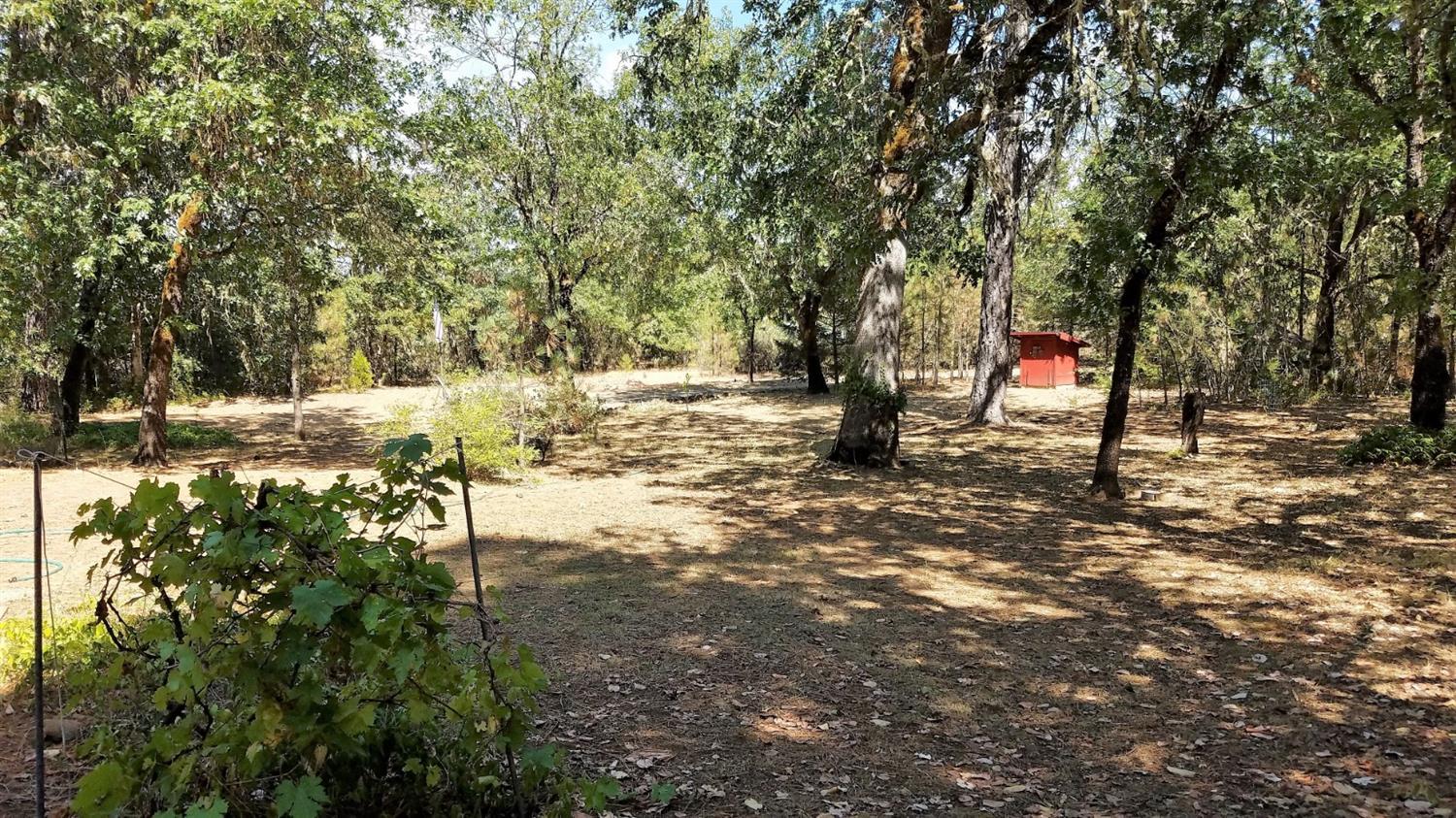 5532 Rockydale Road Cave Junction, OR 97523 - Photo 15 of 19 Additional Photo