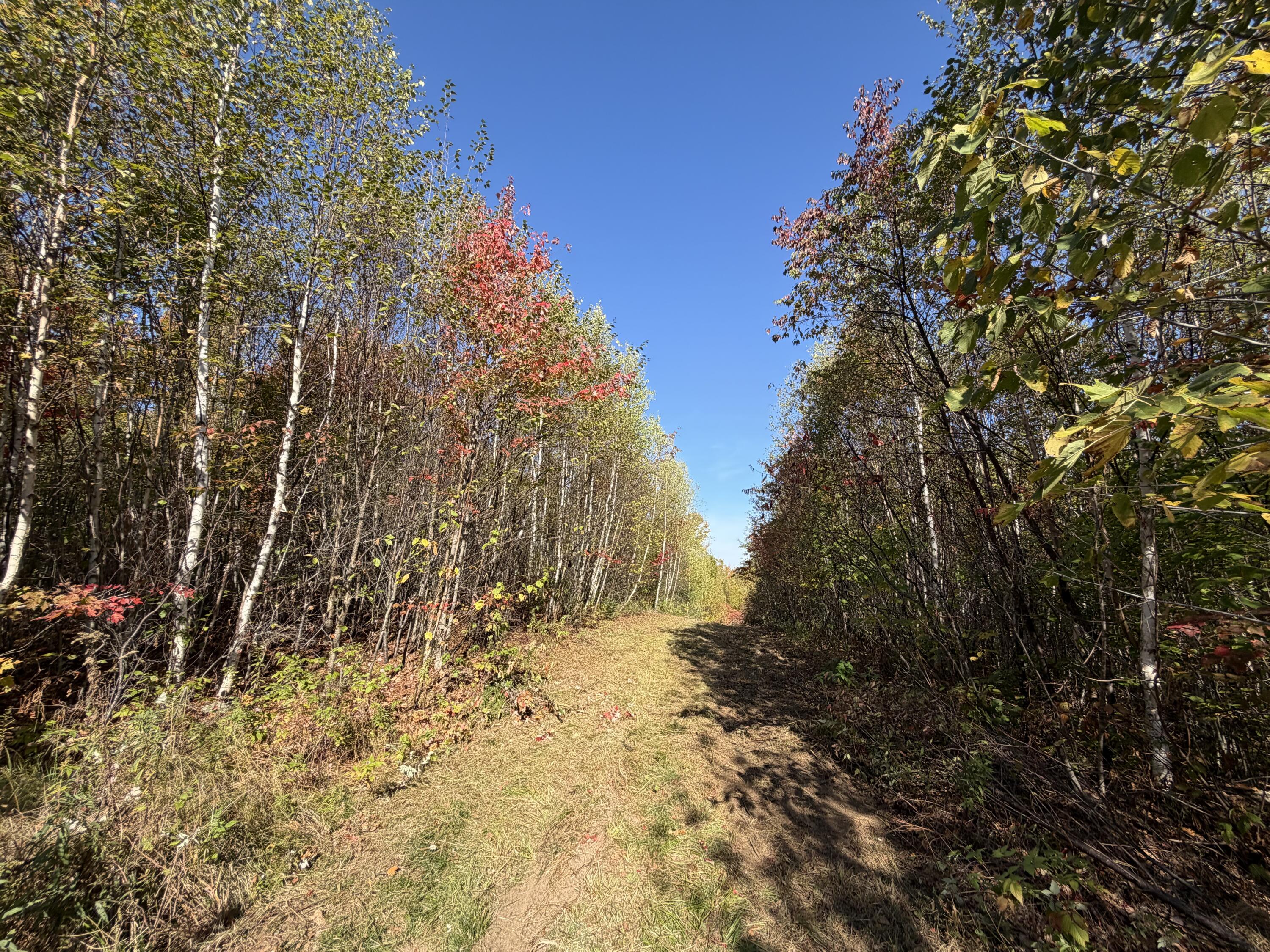 Off Off Lord Brook Road Burlington, ME 04417 - Photo 11 of 13 IMG_3246