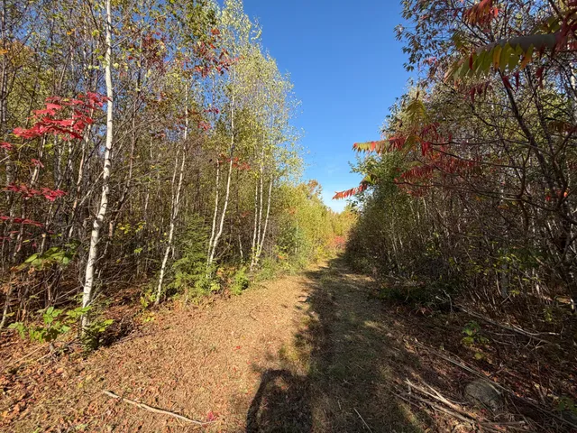 $99,900 | Off Off Lord Brook Road, Burlington, ME 04417