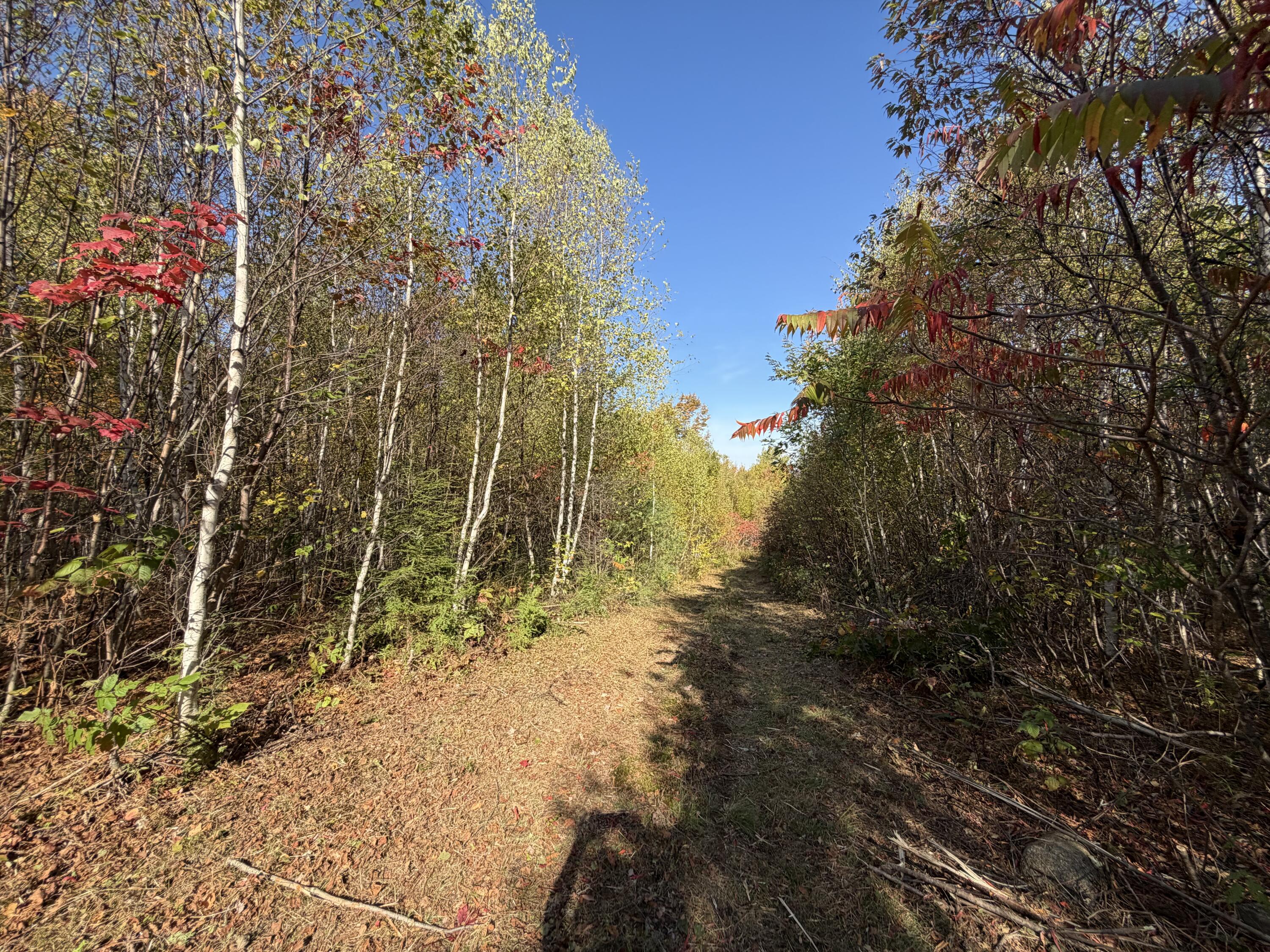 Off Off Lord Brook Road Burlington, ME 04417 - Photo 12 of 13 IMG_3247