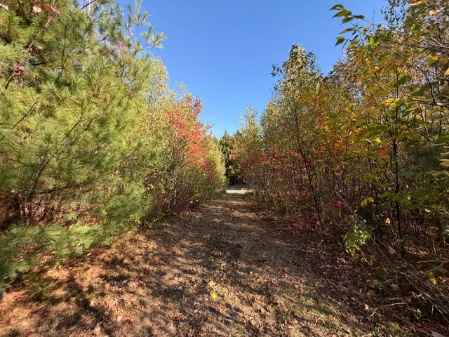 $99,900 | Off Off Lord Brook Road, Burlington, ME 04417