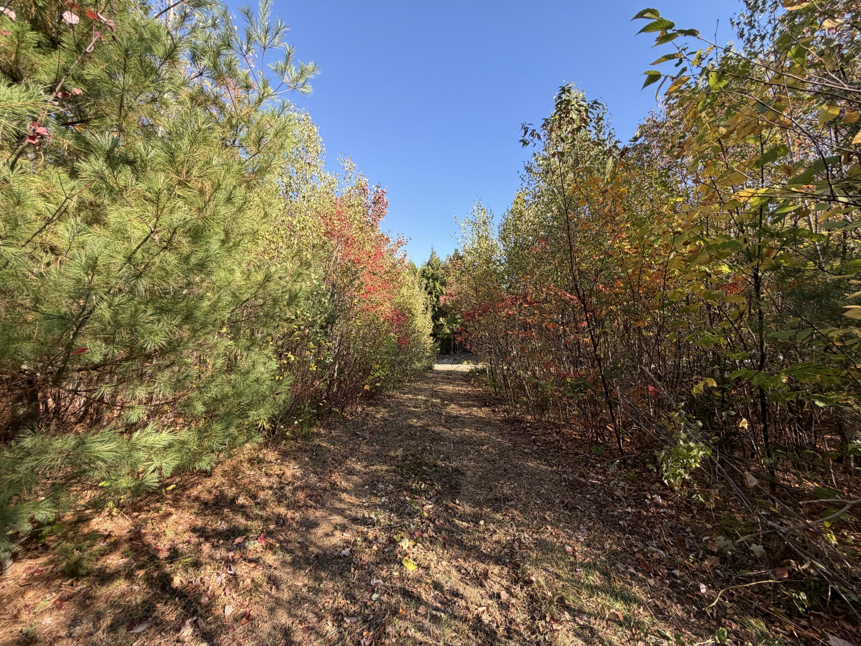 Off Off Lord Brook Road Burlington, ME 04417 - Photo 13 of 13 IMG_3249