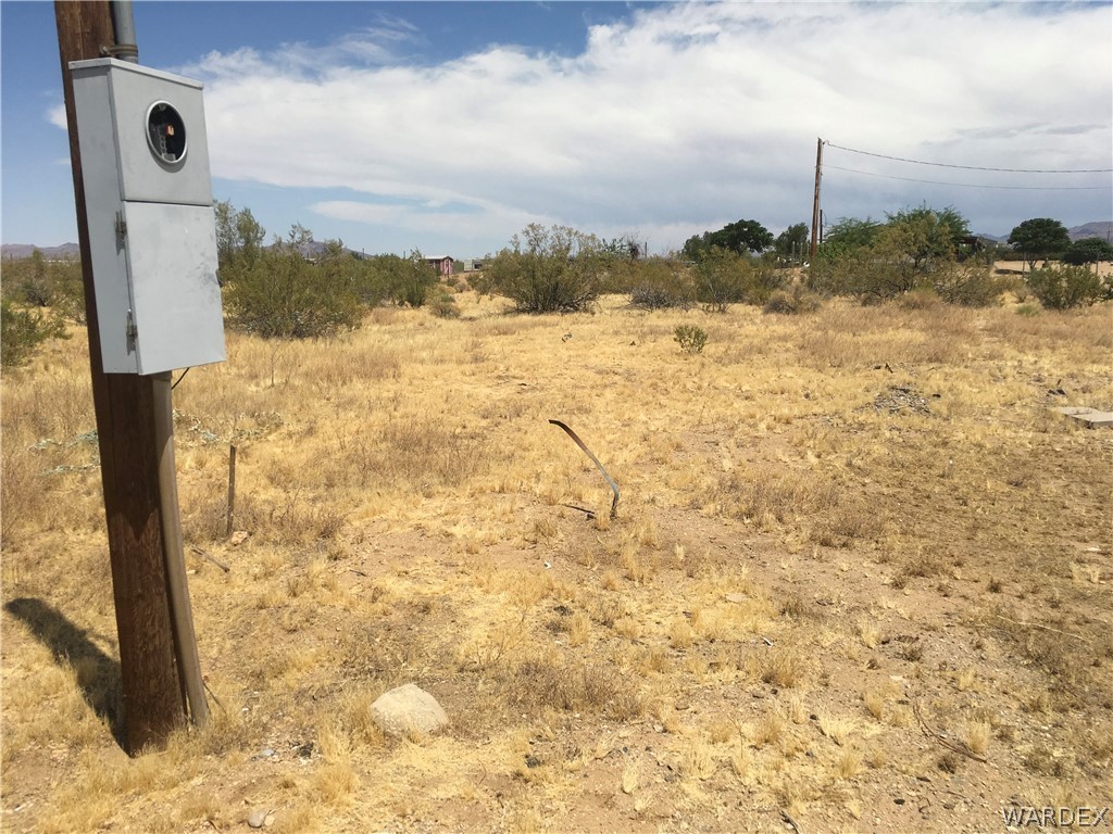 Gallery Image 7