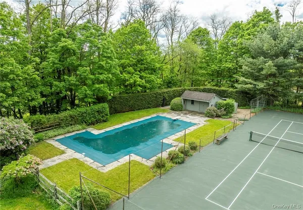a view of a swimming pool with lawn chairs and plants