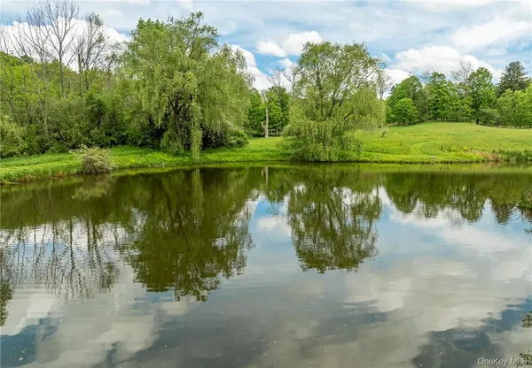 a view of a lake with a yard and a large trees