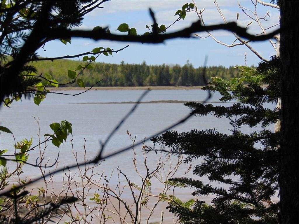 0 Ripley Point Road Harrington, ME 04643 - Photo 19 of 34 Photo