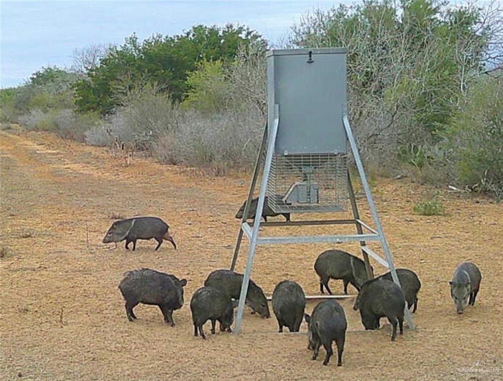 218 Cr 218 Road Encino, TX 78353 - Photo 12 of 16 a backyard of a house with table and chairs