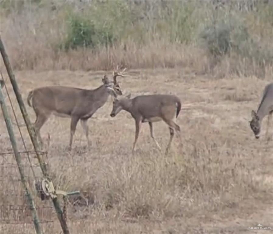 218 Cr 218 Road Encino, TX 78353 - Photo 13 of 16 a view of a yard with table and chair