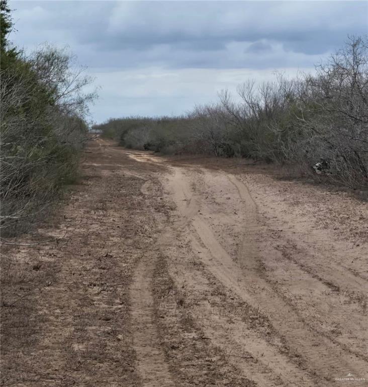 218 Cr 218 Road Encino, TX 78353 - Photo 15 of 16 a view of a dry yard with trees