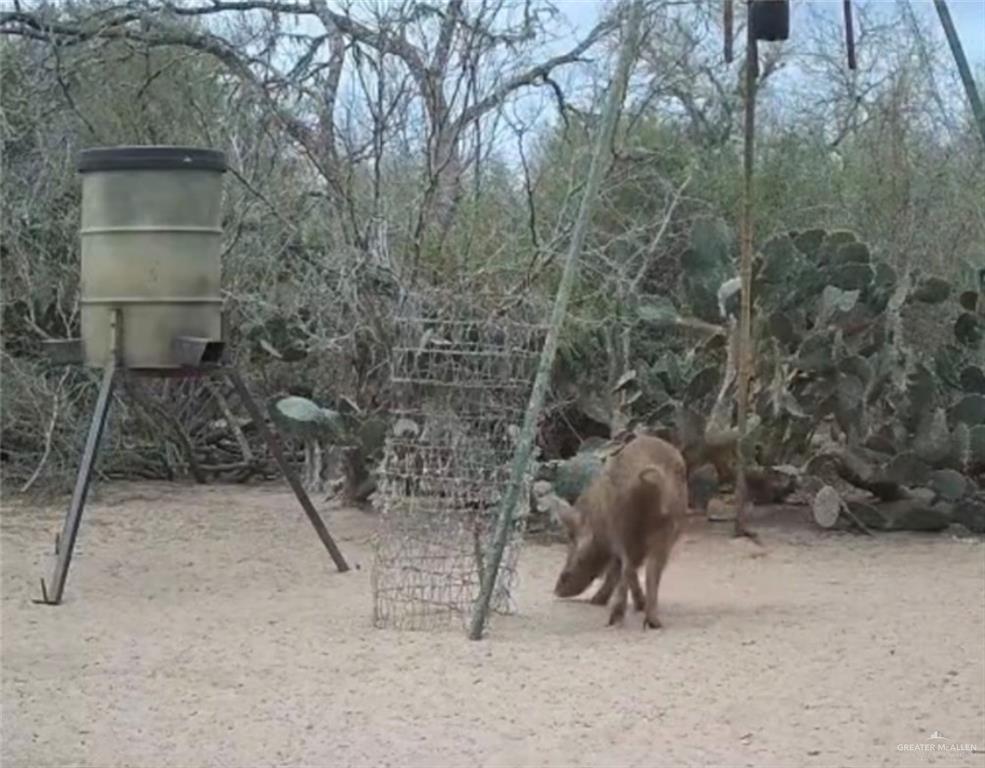 218 Cr 218 Road Encino, TX 78353 - Photo 16 of 16